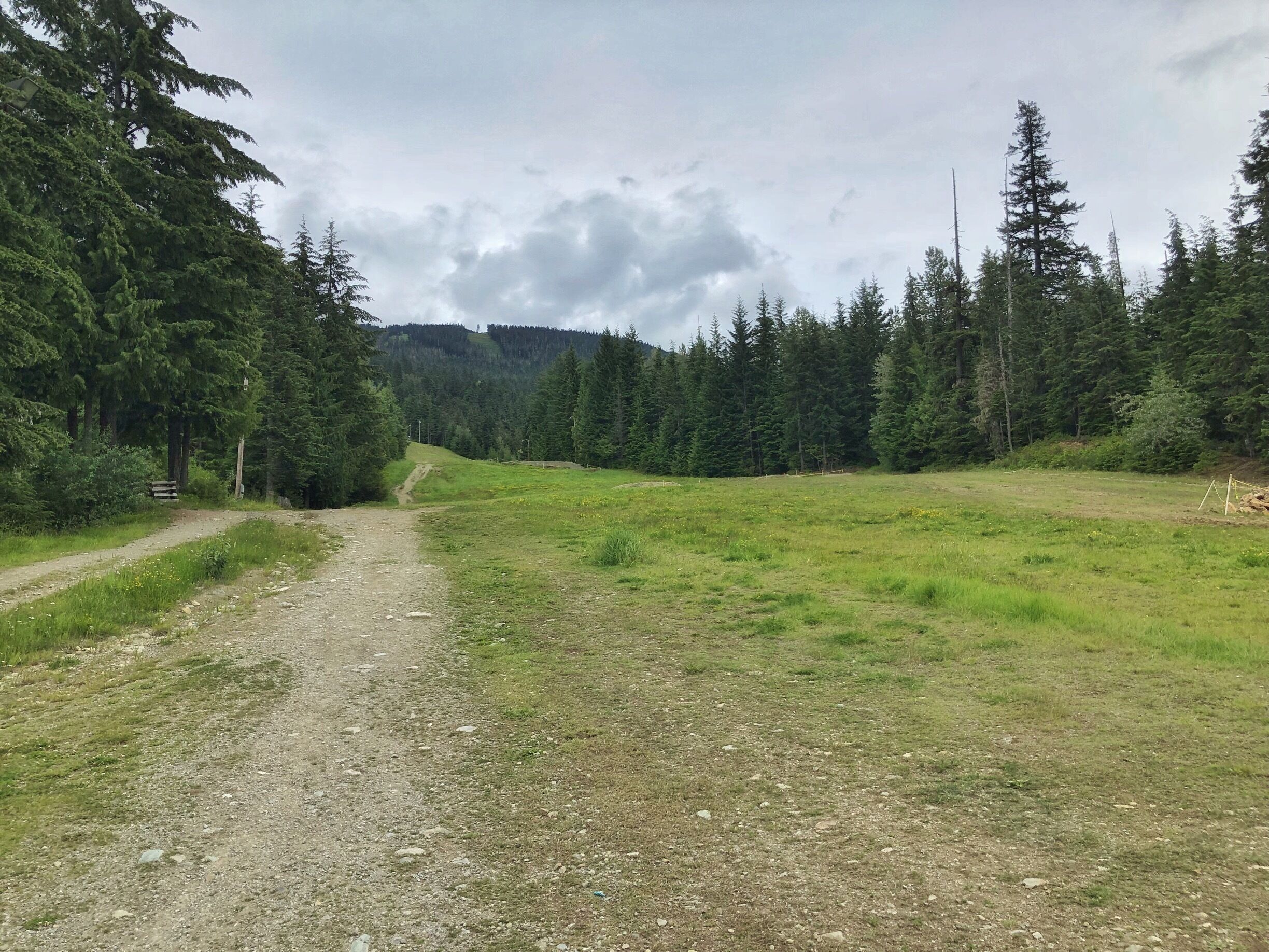 Just outside the accommodation complex looking up the hill. You could ski right to the door in winter!