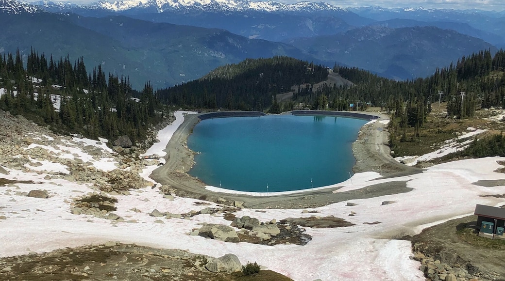 View from the Peak Chair
