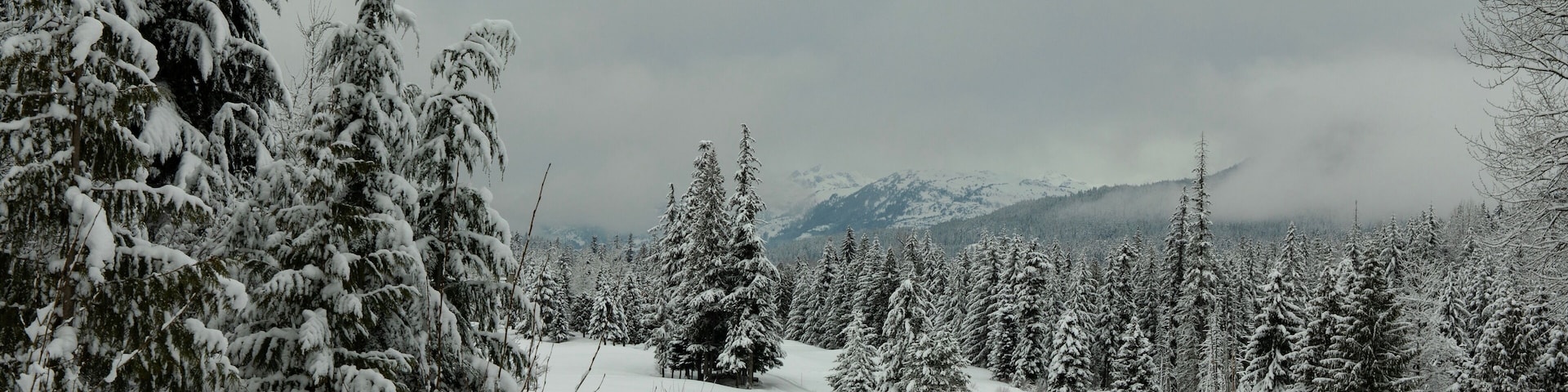 Whistler, Canada. 1st impressions