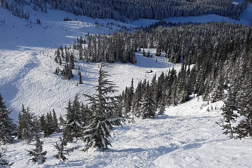 A snow-covered mountainous landscape with dense forests and ski trails.