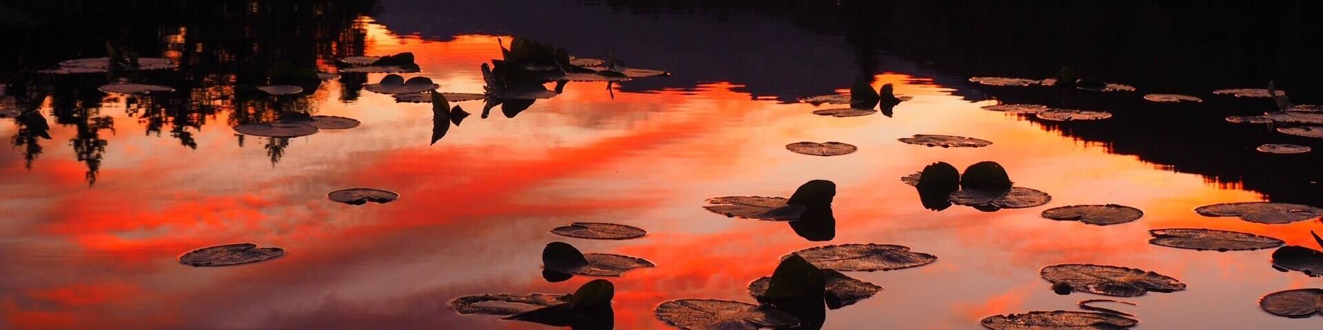 Fiery place of zen for sunrise