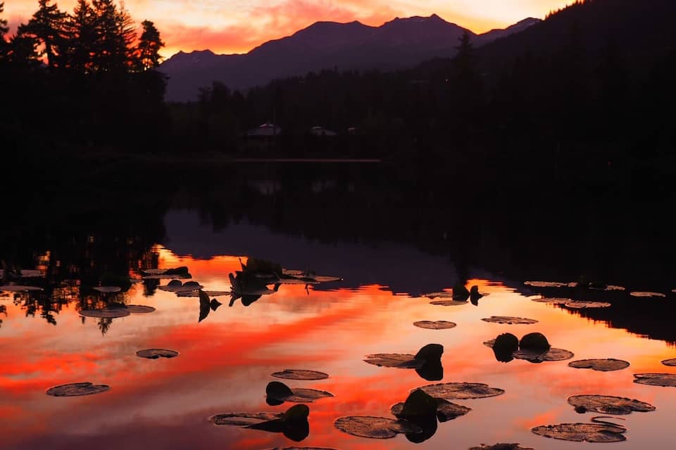 Un llac ple de nenúfars amb una serralada de muntanyes al fons.