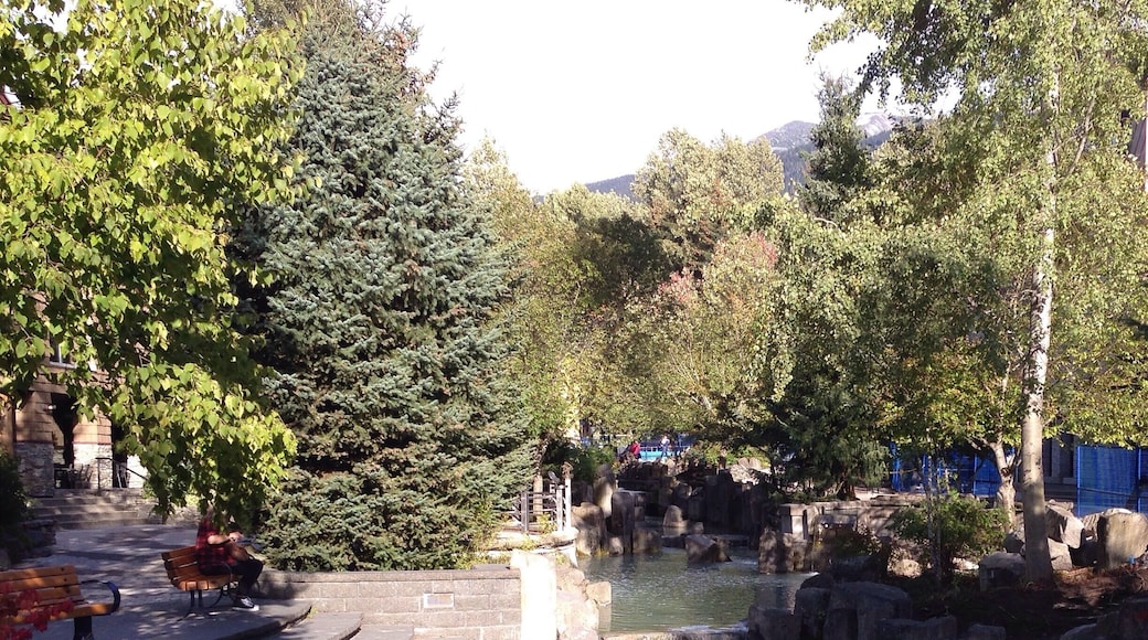 Beautiful grounds at Whistler Village