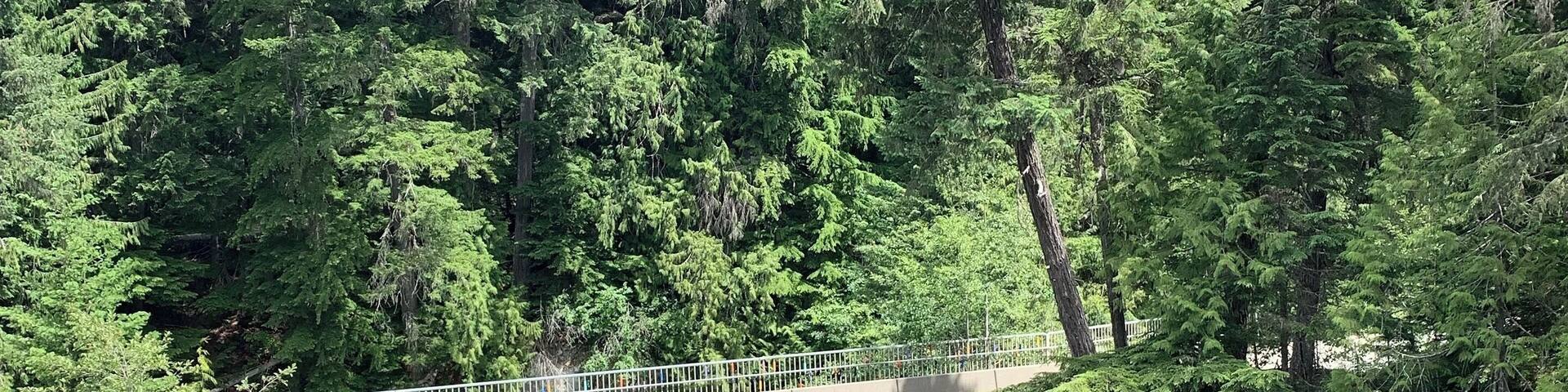 #river #blue #nature #whistler #canada