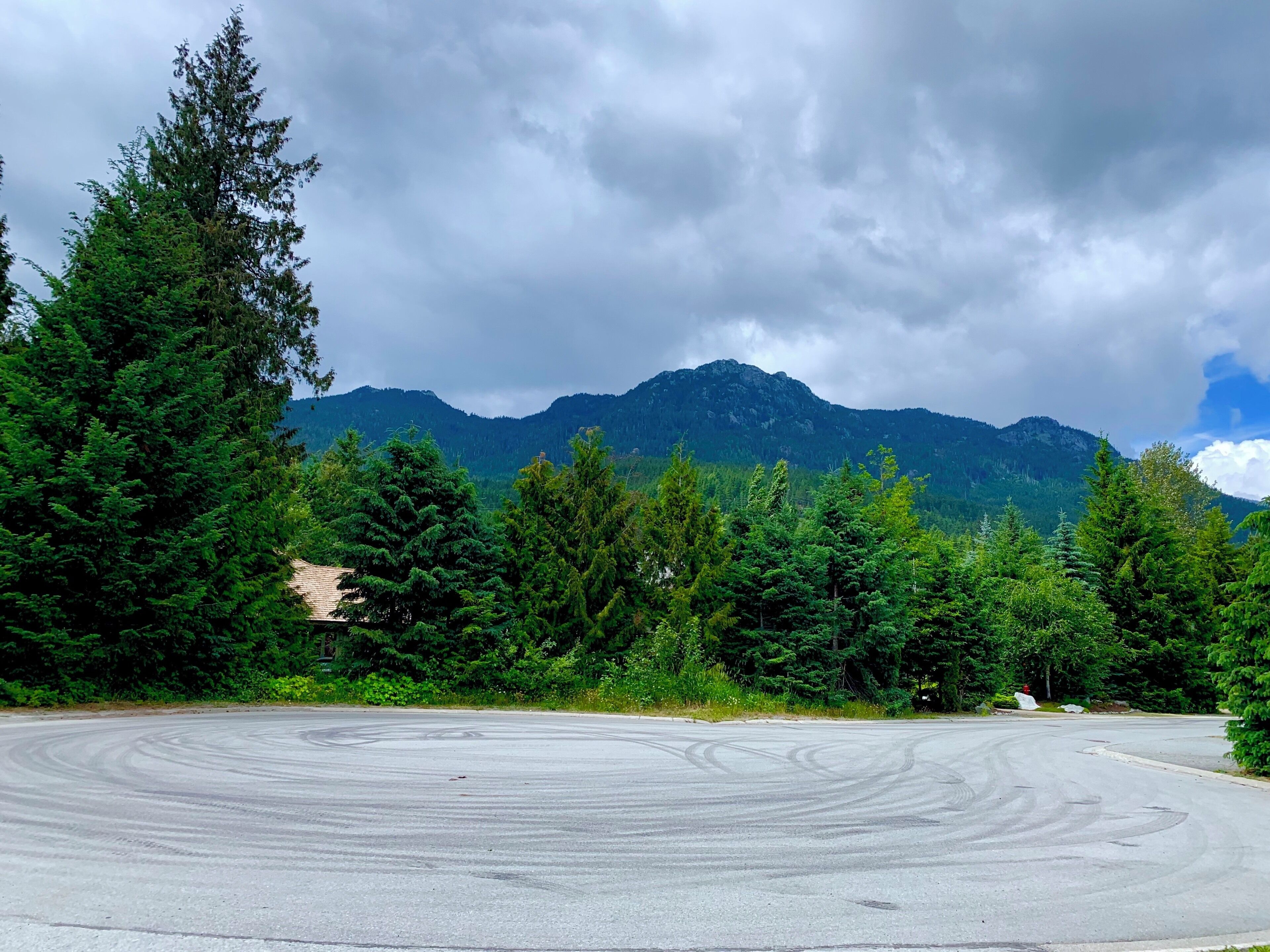 right after we chickened out because we saw too many watch out for bears signs #nature #trees #road #whistler #canada #traces