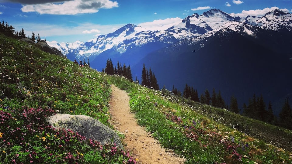 #TakeaHike ⛰🚶🏻♀️🐾😃 A glorious day on Whistler Mountain! High Note Trail Hike - 9.5km with a few steep ascents & descents. Perfect way to spend a few hours.