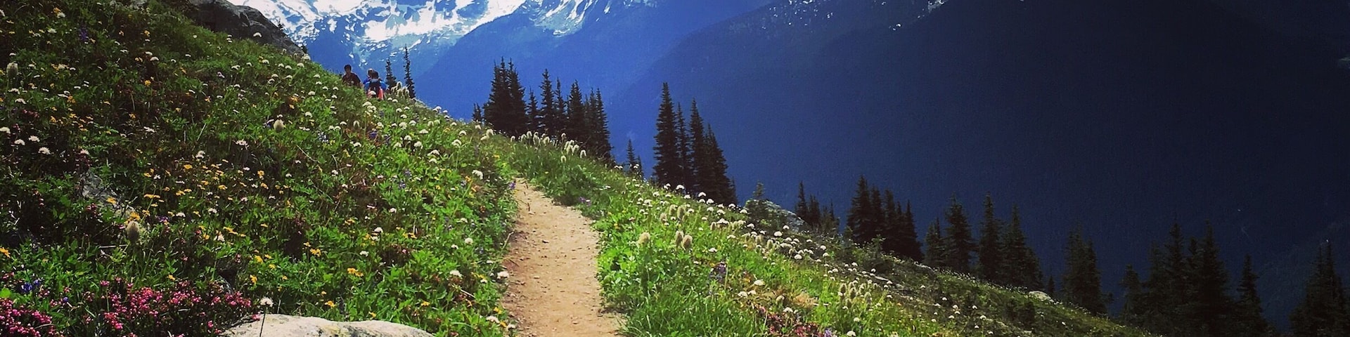 #TakeaHike ⛰🚶🏻♀️🐾😃 A glorious day on Whistler Mountain! High Note Trail Hike - 9.5km with a few steep ascents & descents. Perfect way to spend a few hours.