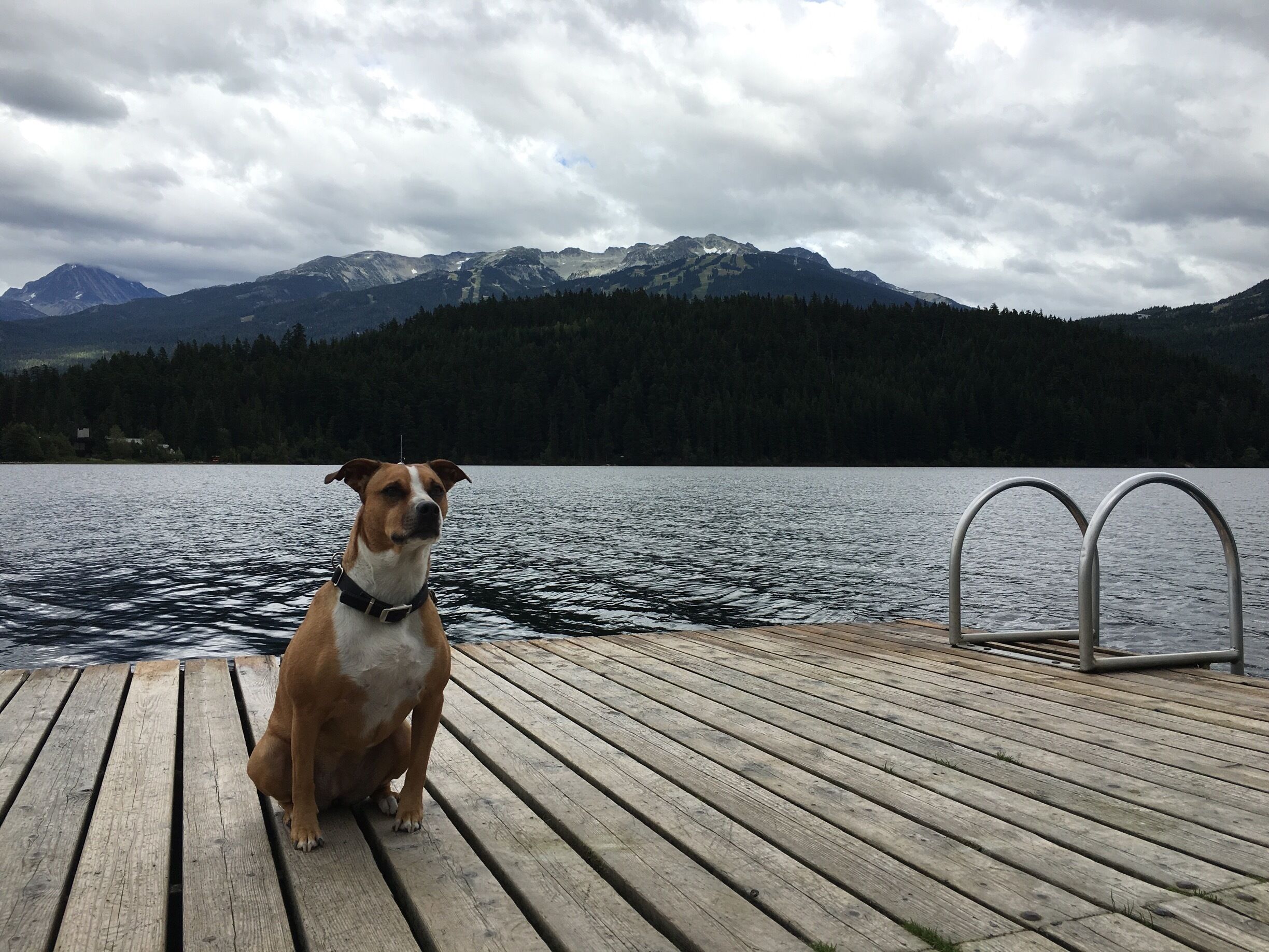 Rainbow Park on Alta Lake overlooking Whistler-Blackcomb. A  nice place to escape the bustle of tourists at other nearby lakes. Go for a dip off the dock, enjoy a schnitzel, ride the bike path or play with Rover at the fenced dog park.