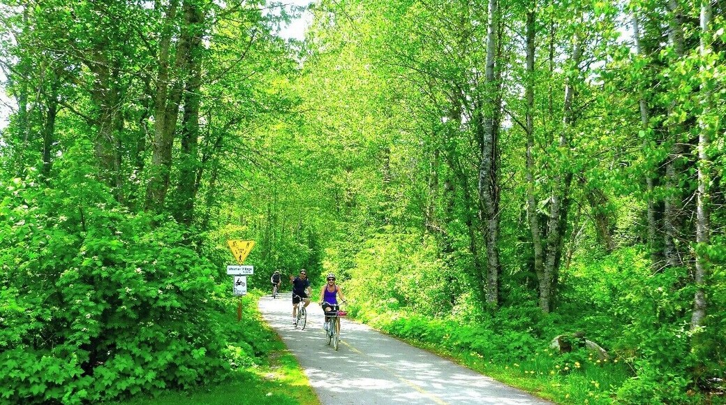 Estates de Whistler Cay