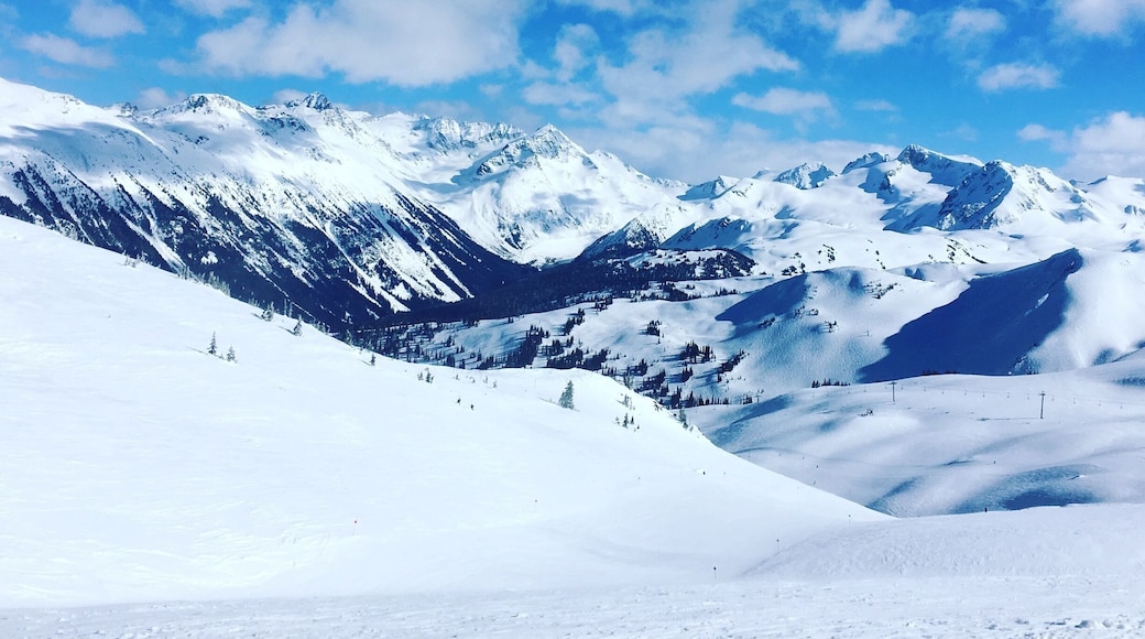 Definition of paradise. White on blue till the end. ⛷