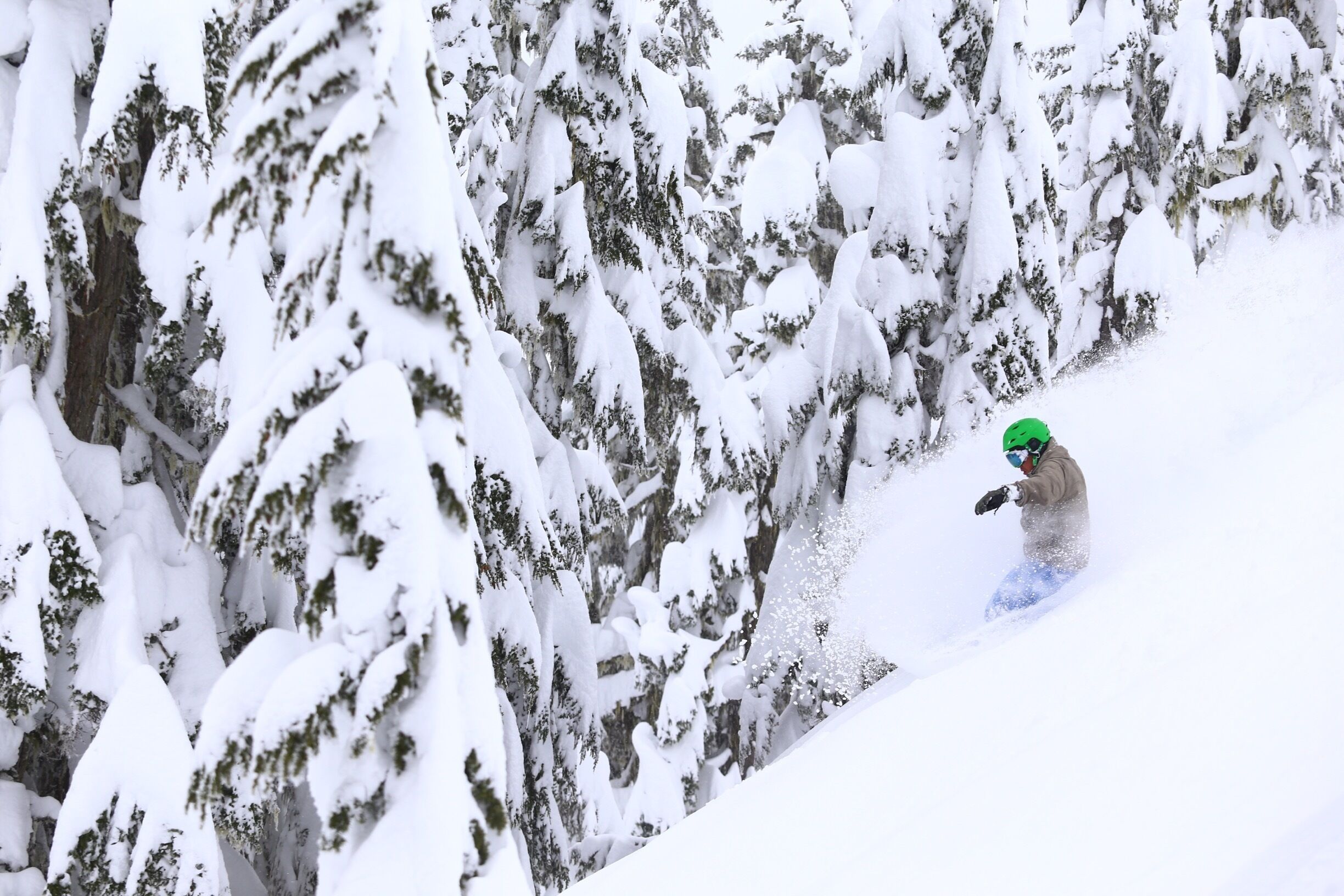 Fresh powder in whistler.