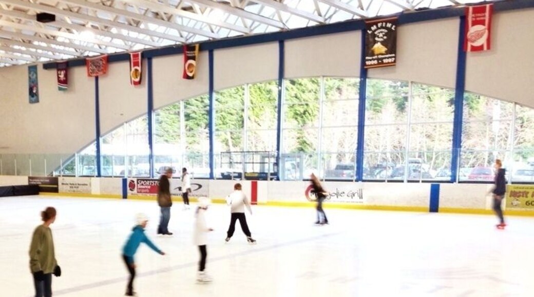 Crappy weather in Whistler? Strap on some skates and hit the indoor ice. For $8 you get full access to the sports center's ice rink, fitness center, swimming pools (kiddie pool and lap pool), hot tub and sauna. Open skate is from 12-3pm most every day and 6:40-8pm select evenings. Skate rental is only $4.50, so don't let that stop you either!