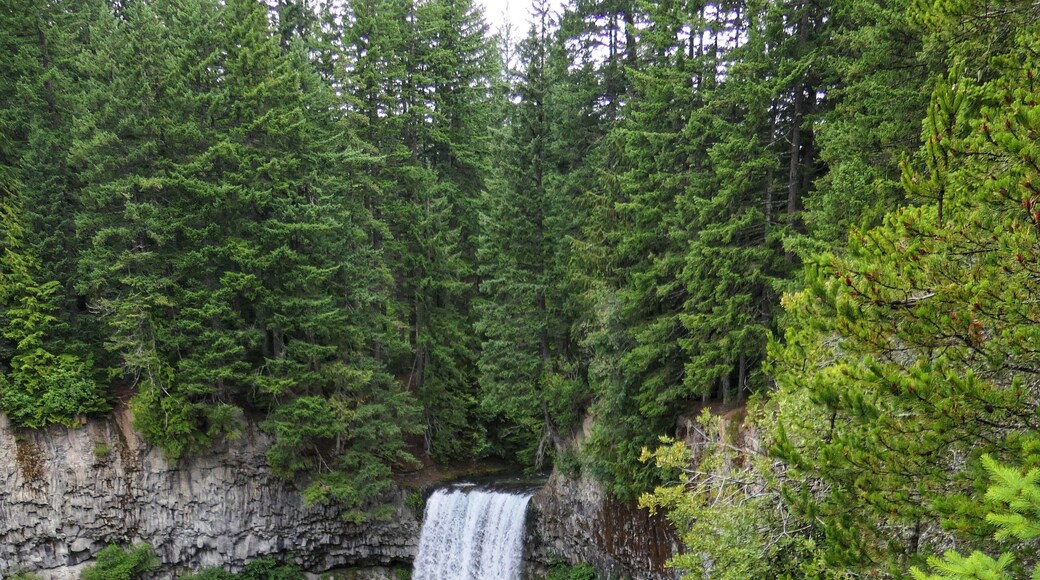 Brandywine Falls Provincial Park