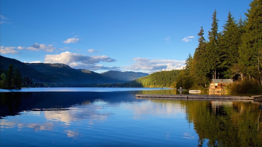Whistler Ski Area featuring forest scenes, landscape views and a lake or waterhole