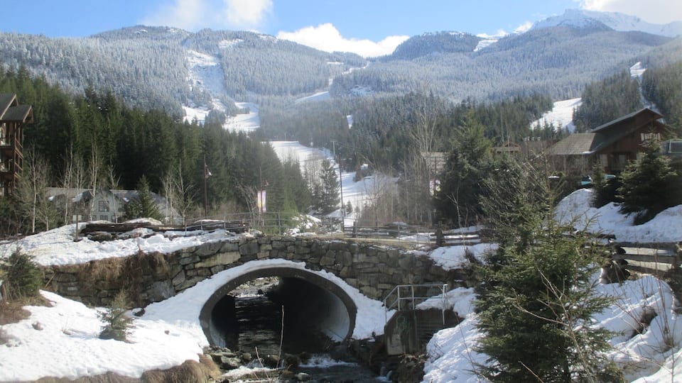 Walking around in Whistler Creek, Canada.