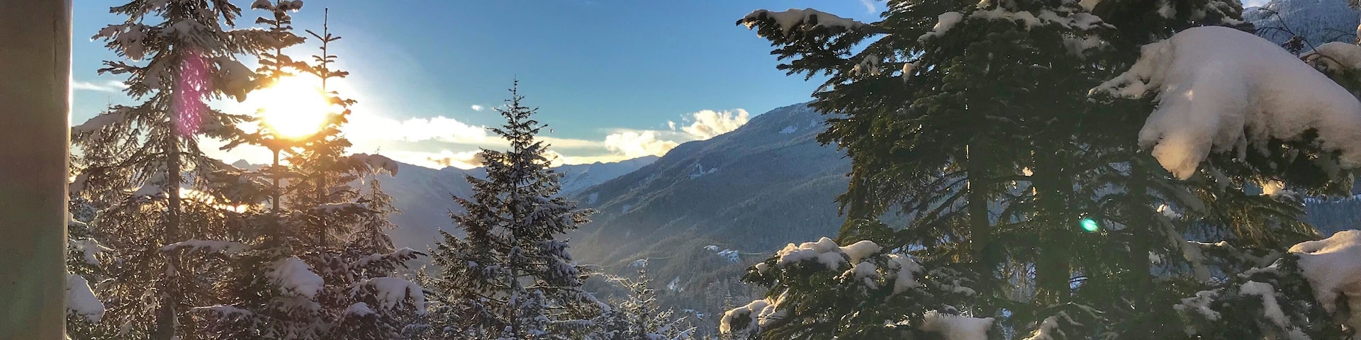 Whistler