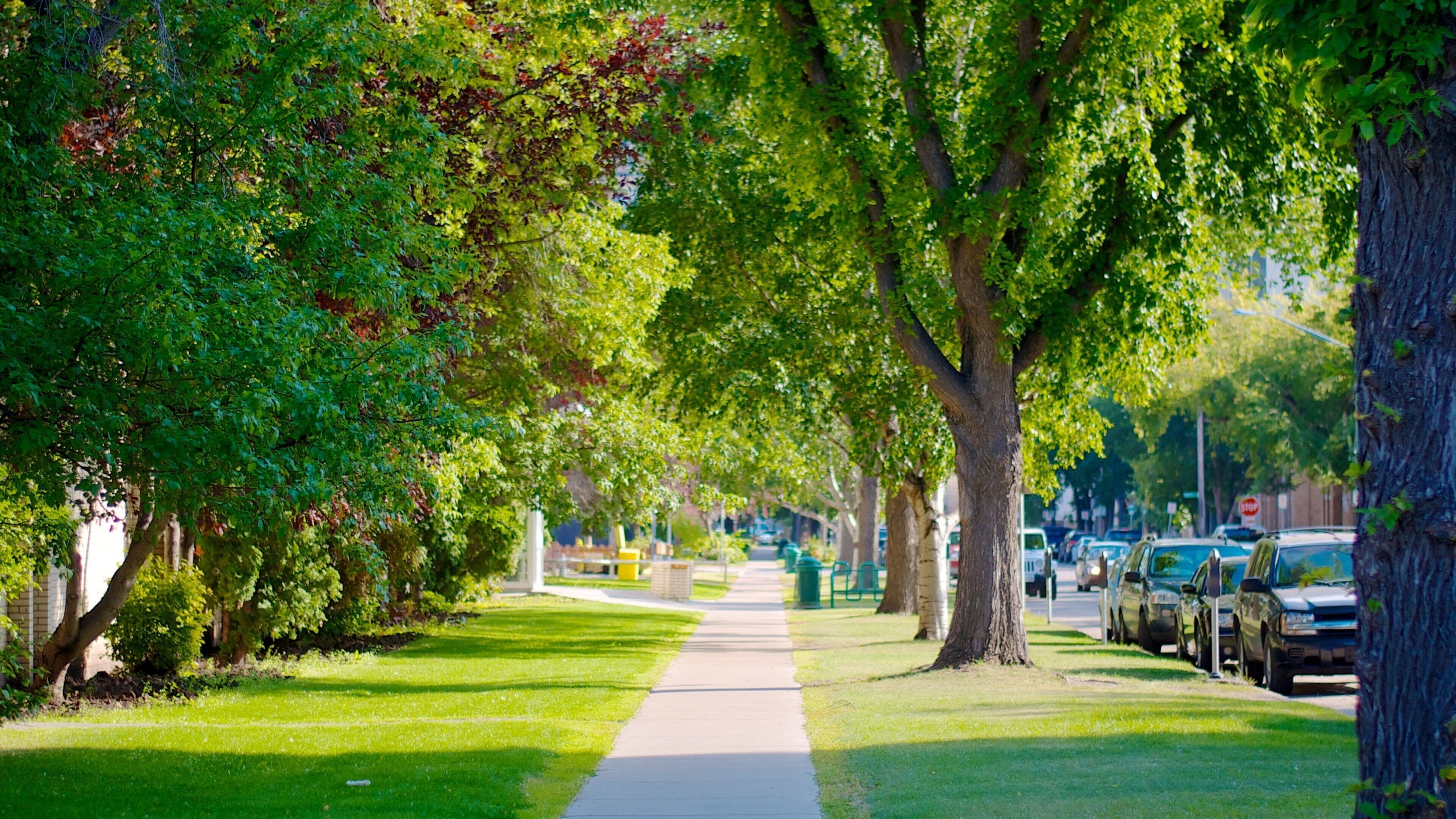 Saskatoon mostrando una ciudad, una pequeña ciudad o aldea y imágenes de calles