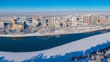 Un paisaje urbano con un río, puentes y árboles cubiertos de nieve.