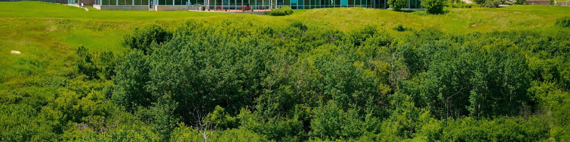 Saskatoon featuring a garden and heritage architecture