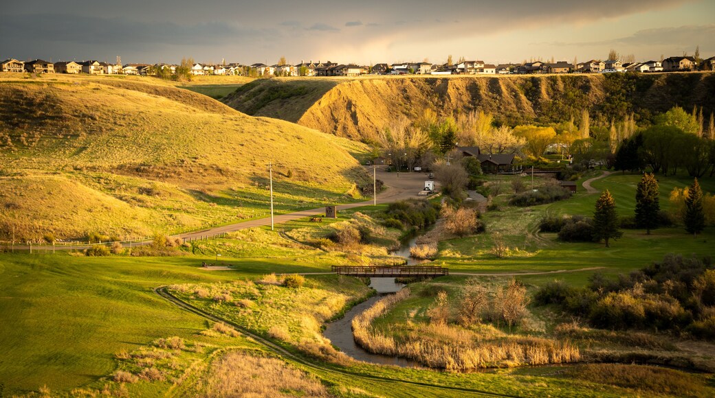 A golf course in Seven Persons Coulee in Medicine Hat Alberta Canada with a spring creek and pedestrian bridge at dusk.