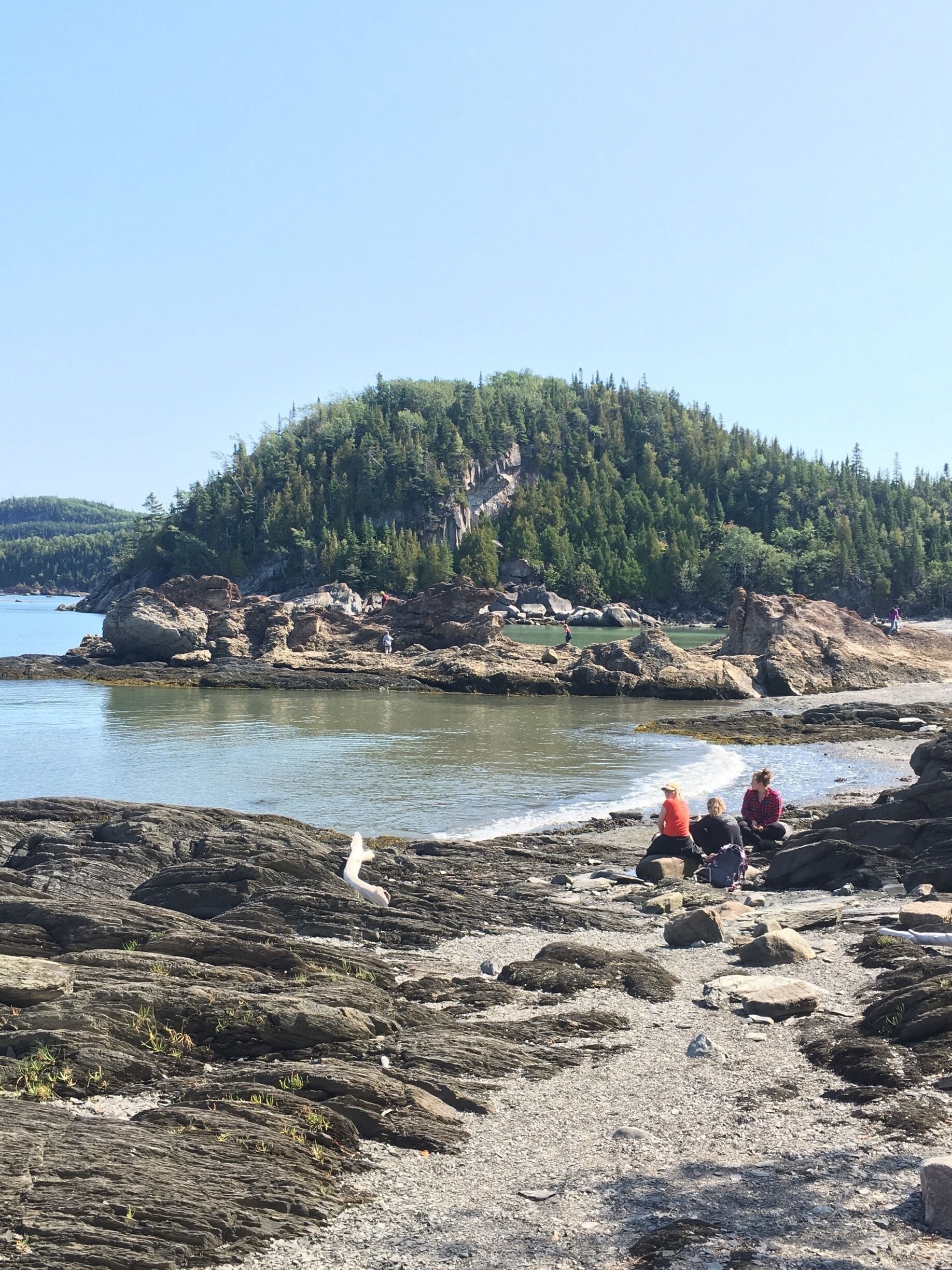 A rocky shoreline with a forested hill in the background.