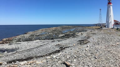 Un littoral rocheux, avec un phare blanc coiffé d’un dôme rouge, un ciel bleu dégagé et une mer calme.