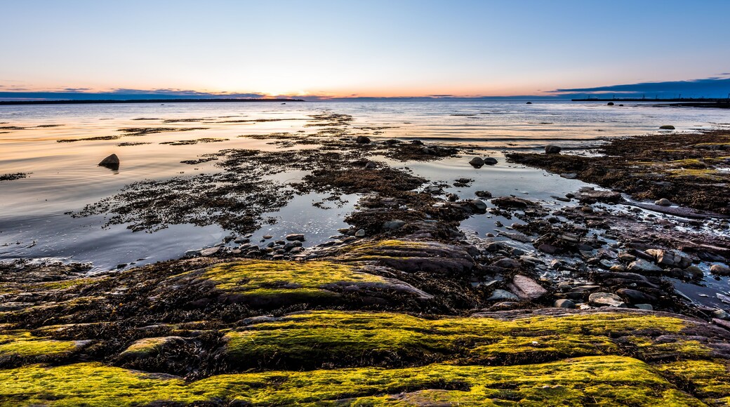 Sunset, dusk in Rimouski, Quebec, Saint Lawrence river, Gaspesie, Canada with rocks, boulders, rocky beach, turquoise water, sun reflection above horizon, sunburst, glade, path, seaweed blue sky