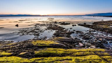 Sunset, dusk in Rimouski, Quebec, Saint Lawrence river, Gaspesie, Canada with rocks, boulders, rocky beach, turquoise water, sun reflection above horizon, sunburst, glade, path, seaweed blue sky