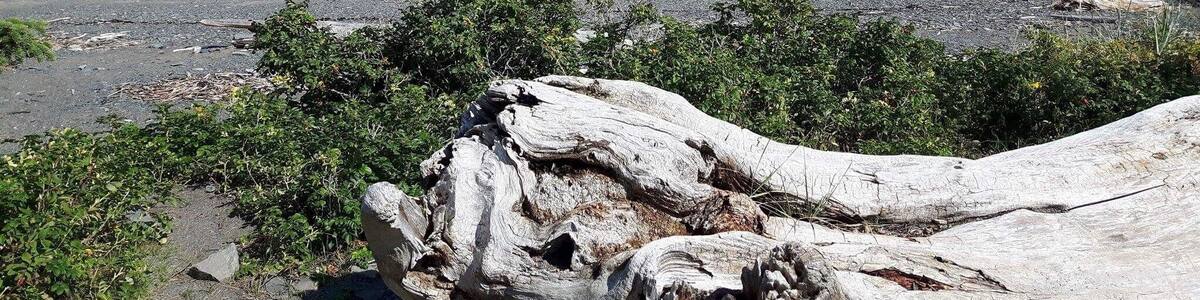 🌊 #Parks #BeachTips