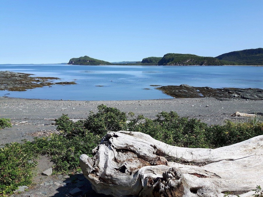 🌊 #Parks #BeachTips