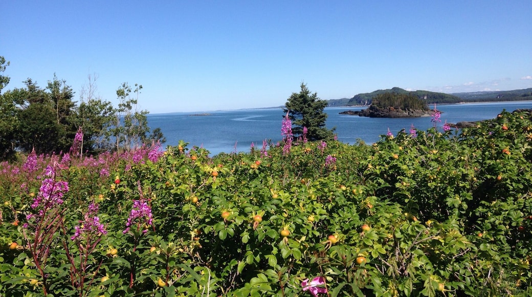 Sea, Montain, Squirrels, Seals and Dear in only few km to go on foot