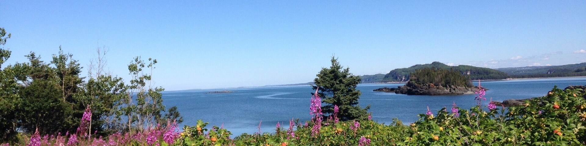 Sea, Montain, Squirrels, Seals and Dear in only few km to go on foot