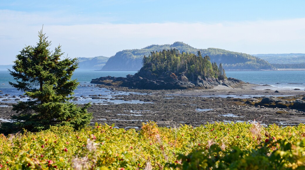 View of the picturesque coastline of Bic National Park (Parc national du Bic), located in the Bas-Saint-Laurent tourism region in Rimouski, Quebec, Canada.
