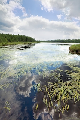 A river with reflections of clouds and grass.