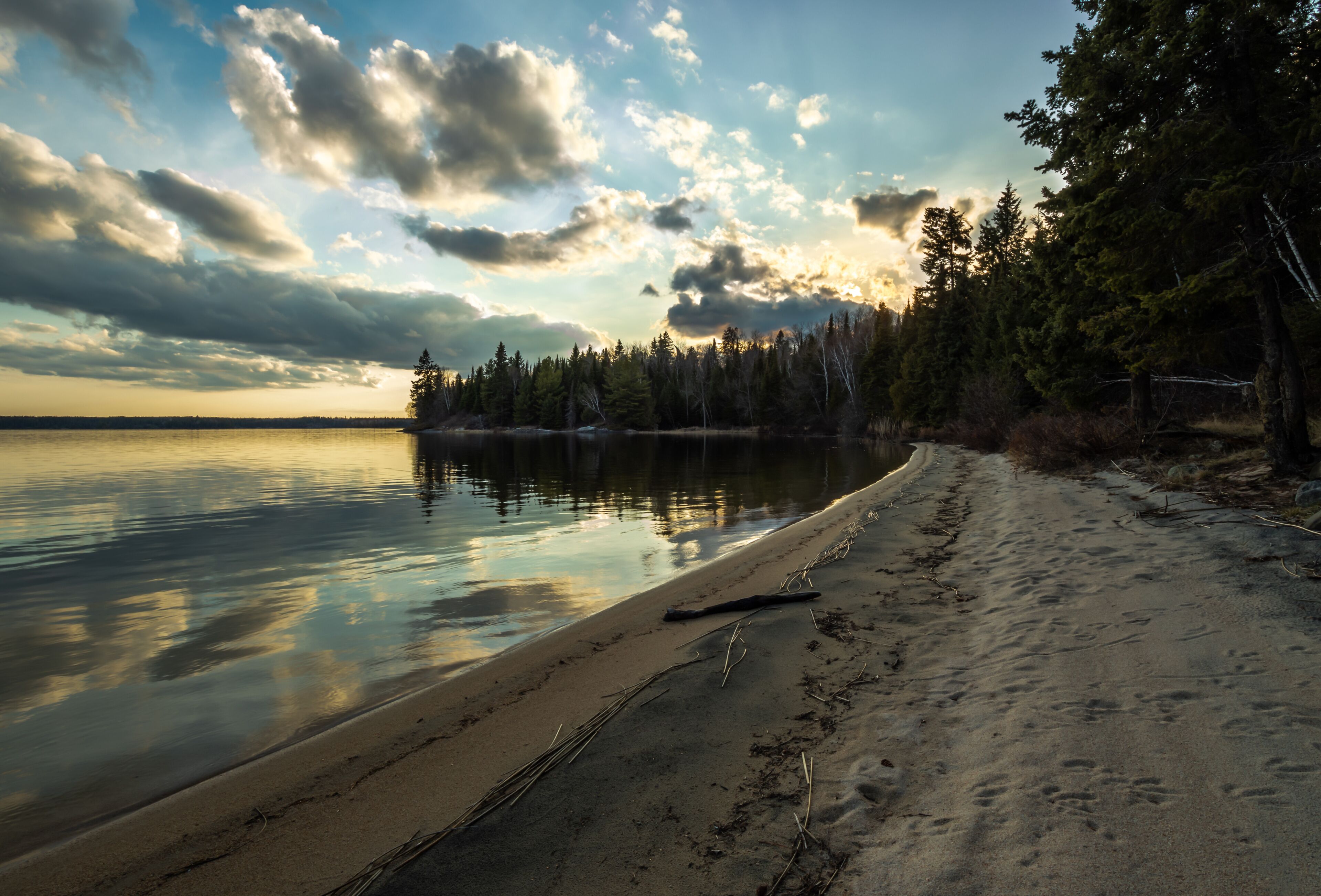 A tranquil lakeside with a sandy beach, dense forest, and a cloudy sky.