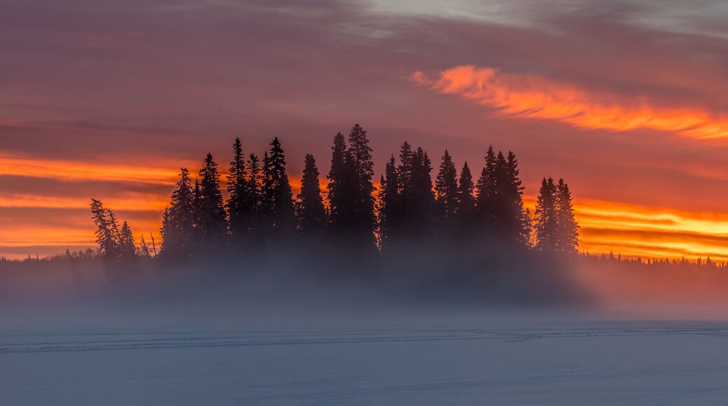 Ness Lake Misty Sunrise