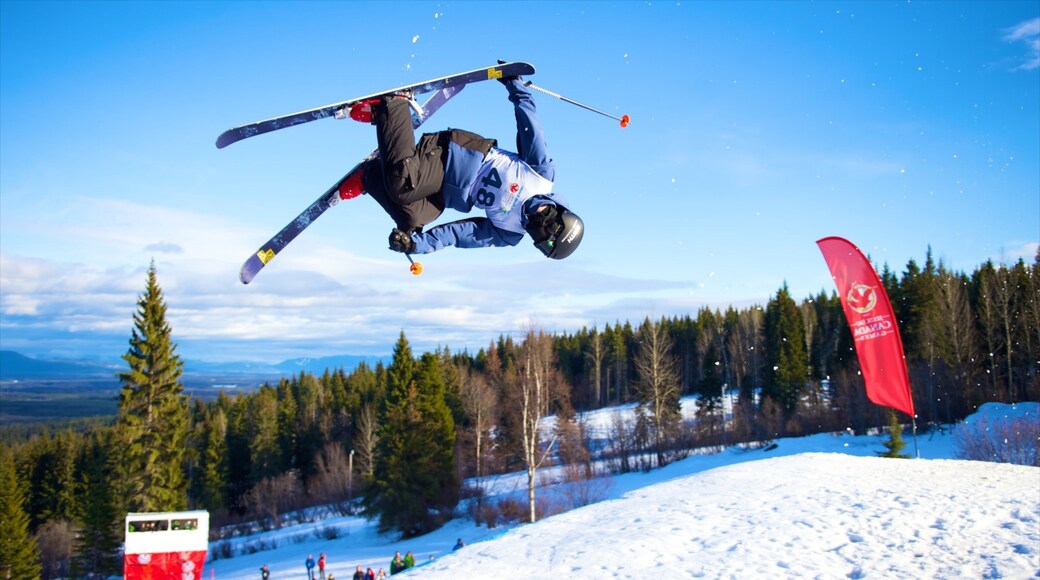 Prince George que inclui um evento desportivo, esqui na neve e neve
