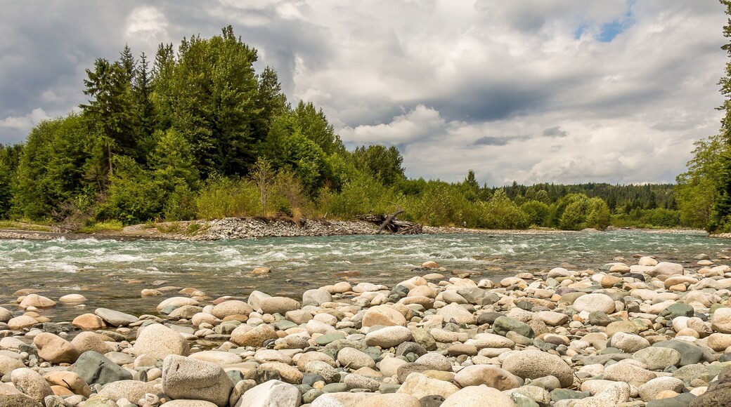 A boulder strewn, fast flowing river, beside a forest, on a cloudy day.