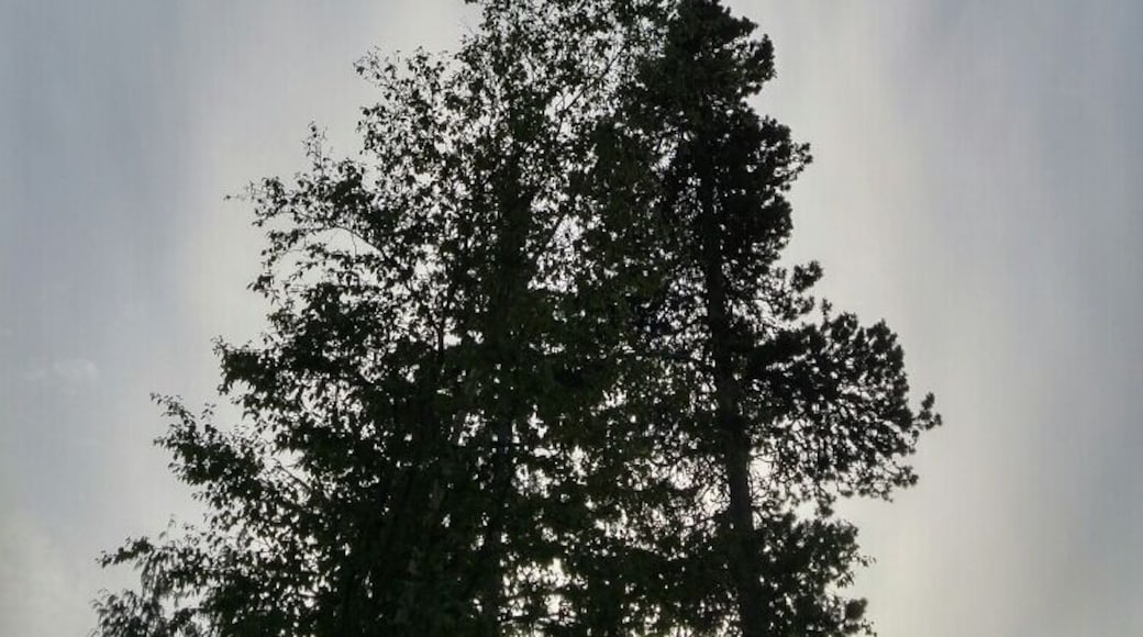 Wonderful rainbows show up in the gorgeous skies of Terrace BC