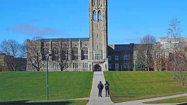 A historic stone building with a tall tower, a flag, and a pathway leading to it.