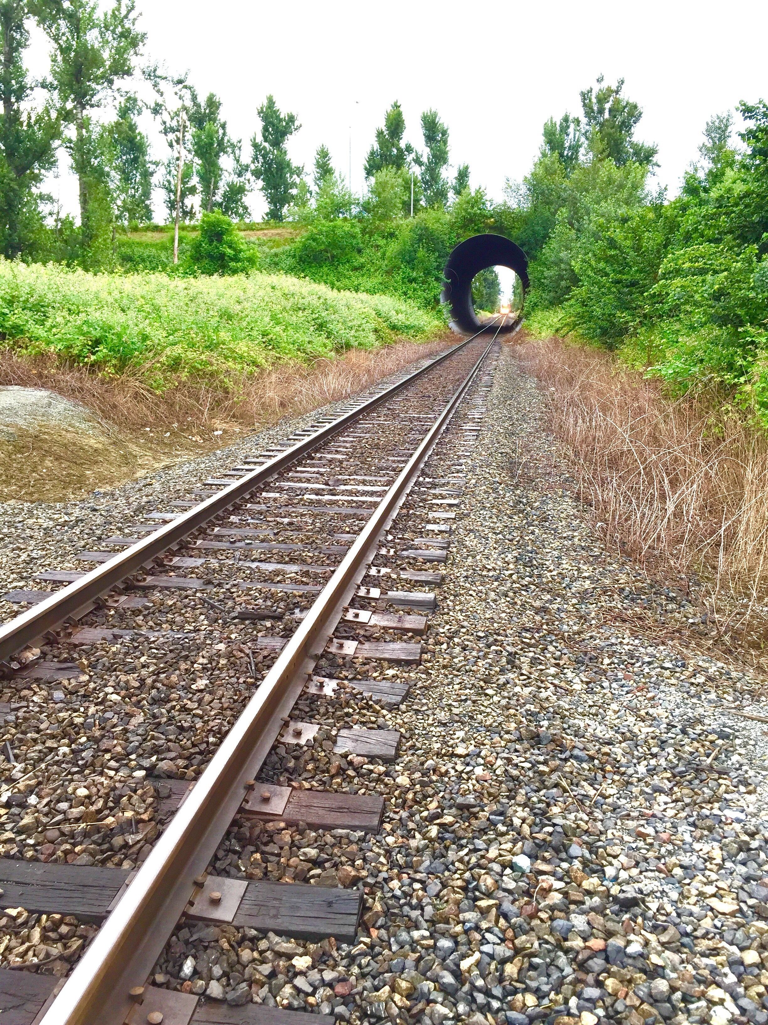 You pass this tunnel on the way to the park.