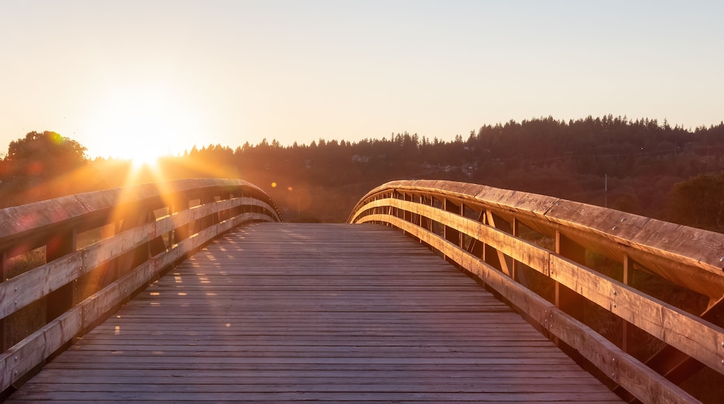 Bridge going over a river in a city park. Sunny Summer Sunset. Colony Farm Regional Park, Port Coquitlam, Vancouver, British Columbia, Canada.