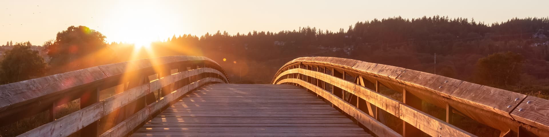 Bridge going over a river in a city park. Sunny Summer Sunset. Colony Farm Regional Park, Port Coquitlam, Vancouver, British Columbia, Canada.