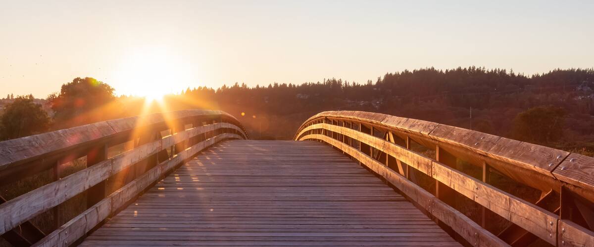 A wooden bridge with a curved design, leading to a forested hilltop.