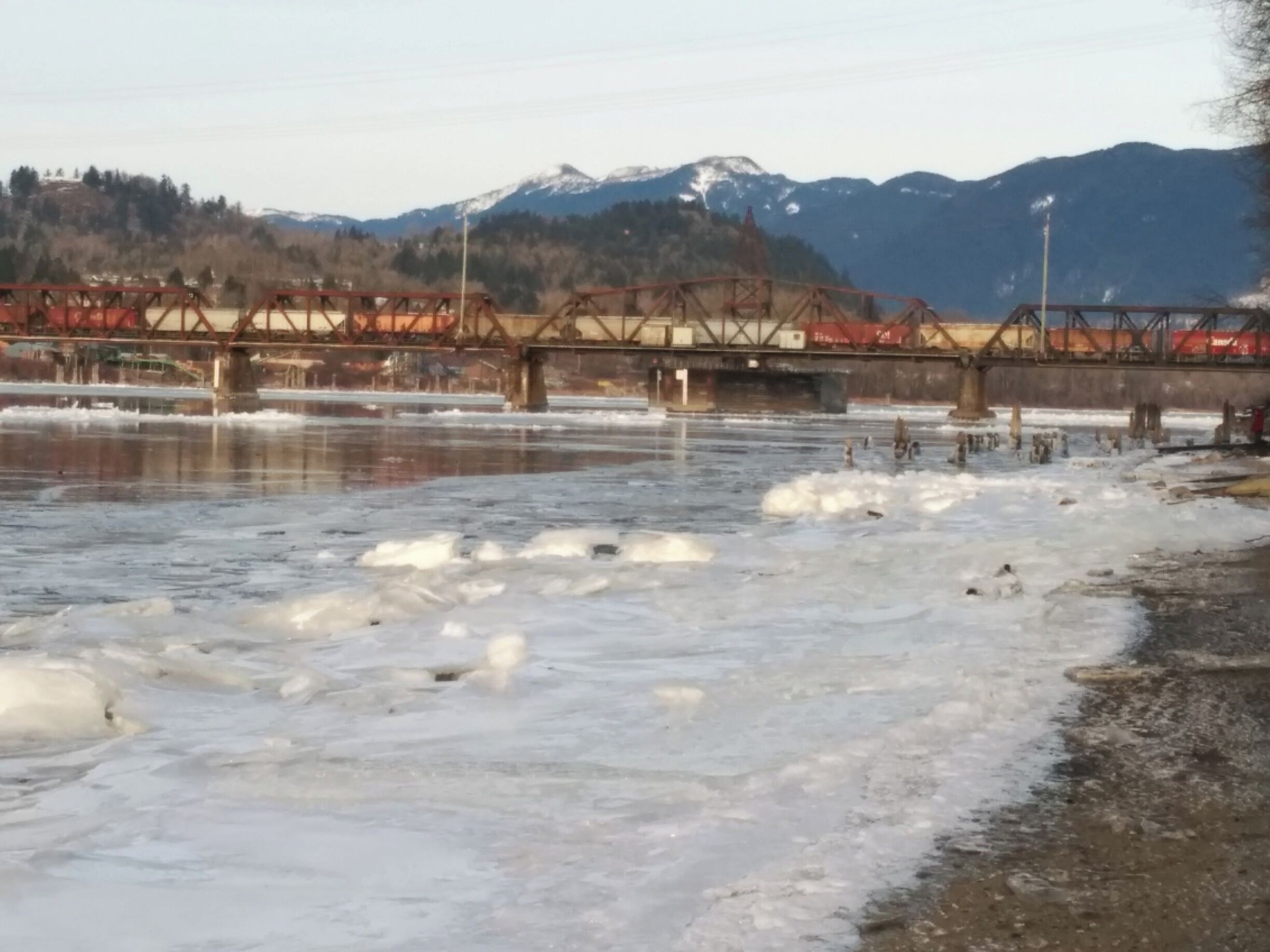 Unusual... ice floats down the Fraser River. 