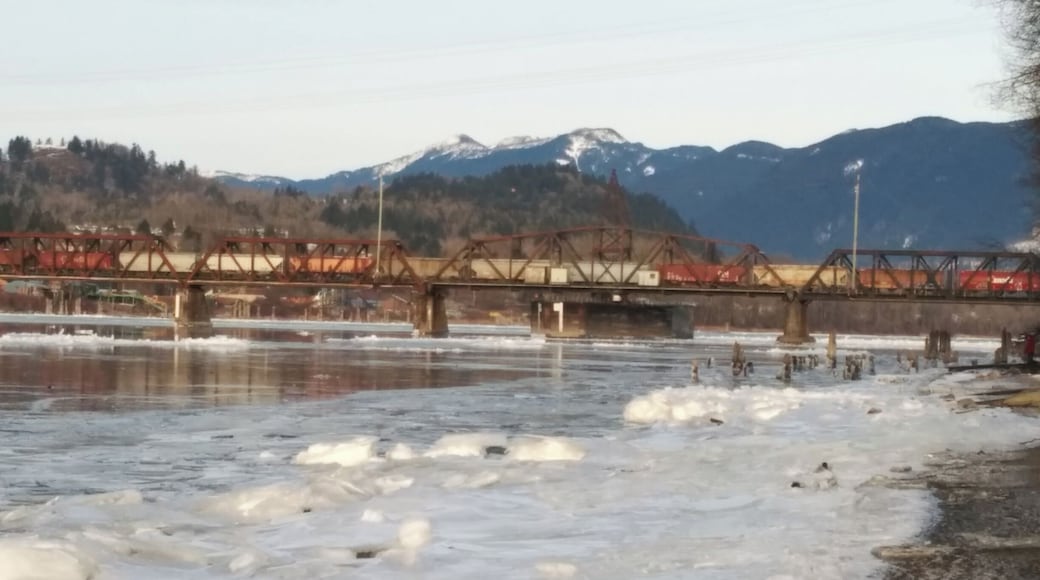 Unusual... ice floats down the Fraser River.