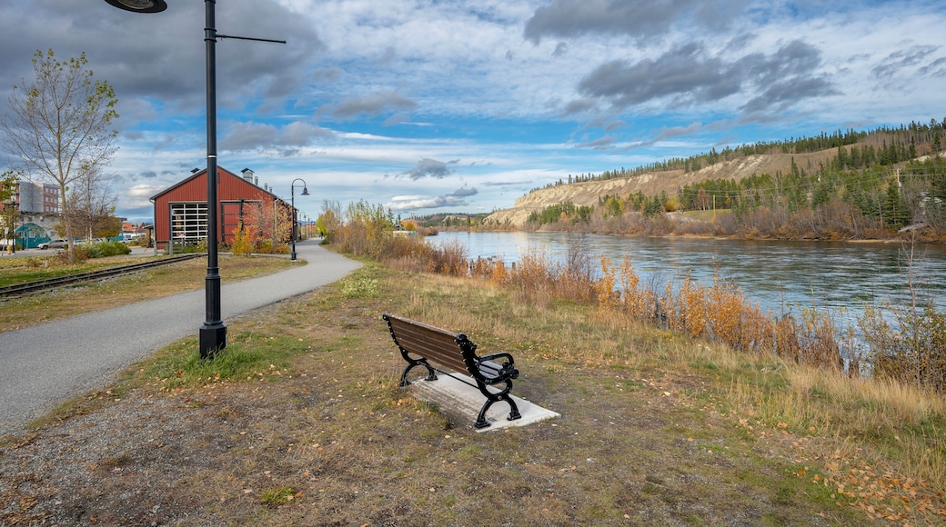 Whitehorse