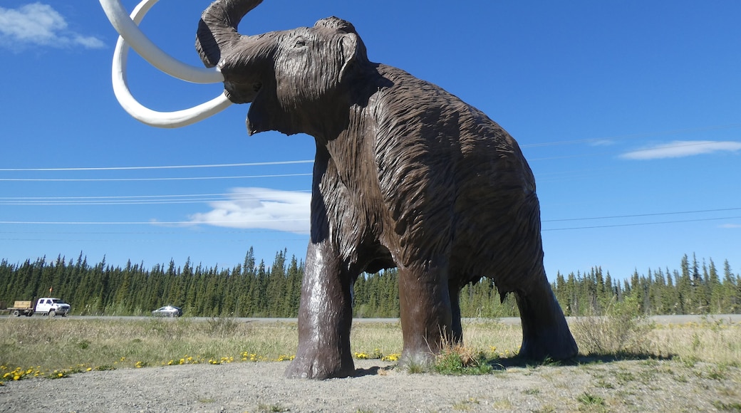The Yukon Beringia Interpretive Center is a must if you are in Whitehorse, YT. So many interesting skeletal remains from the ice age on display.