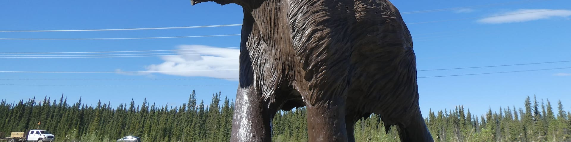 The Yukon Beringia Interpretive Center is a must if you are in Whitehorse, YT. So many interesting skeletal remains from the ice age on display.