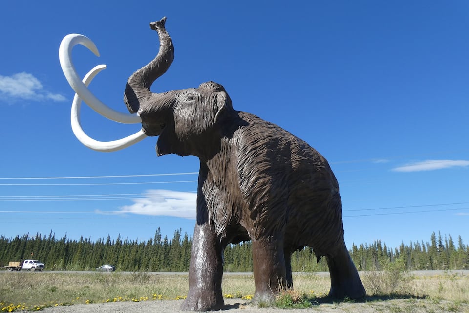 A large elephant statue with large tusks in a grassy field with a forest in the background.